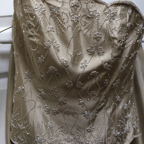 Beautiful Champagne Formal Gown - Picture 2 of 6